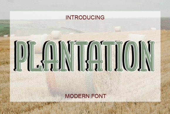 Discover Plantation: A Display Font with Bold Personality